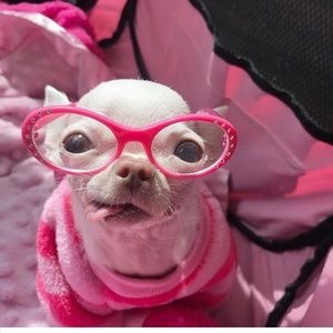 Meet your Posher, Kristie